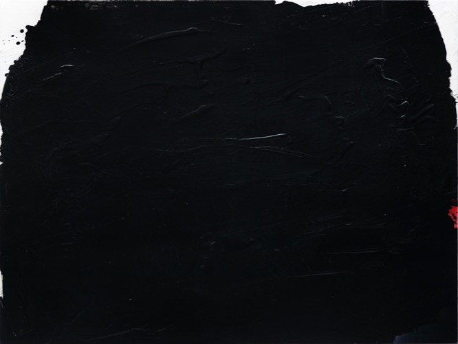 Blumen III/2016-2, Fotografie auf LupuBond Classic, mit Acryl schwarz übermalt, 90 x 120 cm
