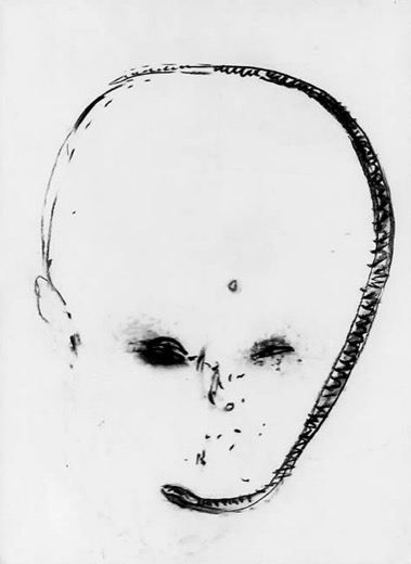 Kopf 2.10.76, 1976, Kohle auf Papier, 66 x 50 cm
