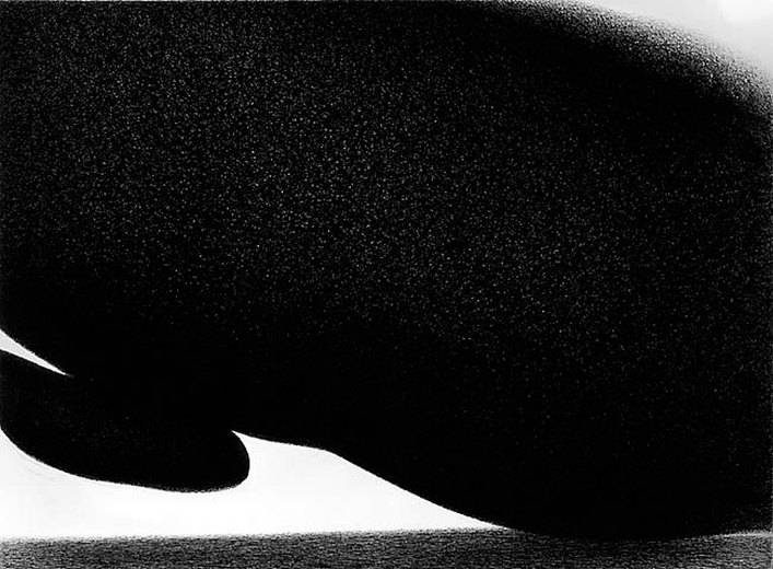 Wolken 10/71, 1971, schwarzer Kugelschreiber auf Leinwand, 50 x 70 cm