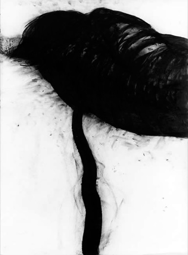 Nervenkrankenhaus Bayreuth 12.9.78, 1978, Kohle auf Papier, 105 x 75 cm