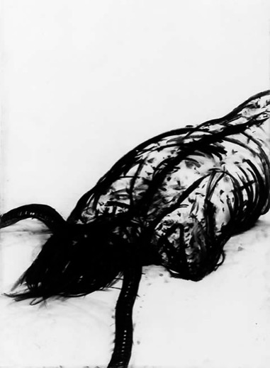 Nervenkrankenhaus Bayreuth 29.6.78, 1978, Kohle auf Papier, 105 x 75 cm