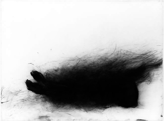 Verbrennung 9.7.80, 1980, Farbe/Kohle auf Papier, 75 x 105 cm