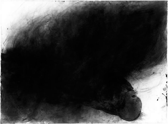 Verbrennung 16.3.80, 1980, Farbe/Kohle auf Papier, 75 x 105 cm